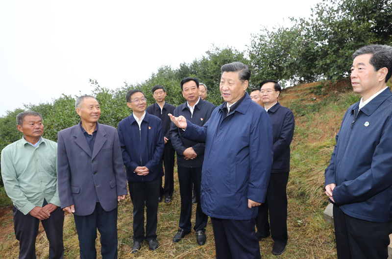 　　9月16日至18日，中共中央總書記、國家主席、中央軍委主席習近平在河南考察。這是17日上午，習近平來到信陽市光山縣槐店鄉(xiāng)司馬光油茶園，同正在勞作的村民和管理人員交流。 新華社記者 鞠鵬 攝