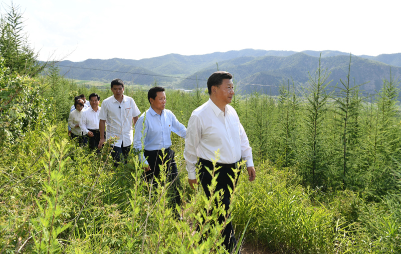 7月15日至16日，中共中央總書記、國家主席、中央軍委主席習(xí)近平在內(nèi)蒙古考察并指導(dǎo)開展“不忘初心、牢記使命”主題教育。這是15日下午，習(xí)近平在赤峰市喀喇沁旗馬鞍山林場林區(qū)，沿著崎嶇的護林小道察看林木長勢。